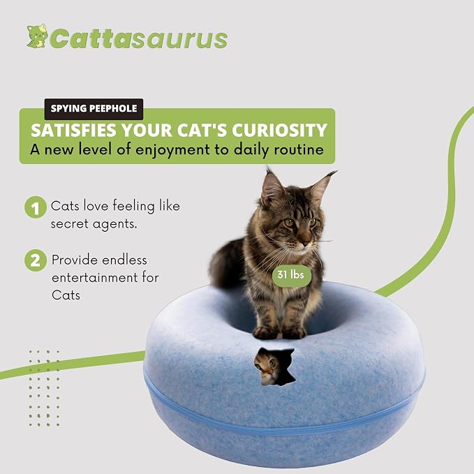 Cattasaurus Peekaboo Cat Cave Donut - Image 4