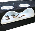 Aquarium Underground Tunnel Cave Natural Curve Two Hole | Viewing Fish & Shrimp by LuckyCritterCo