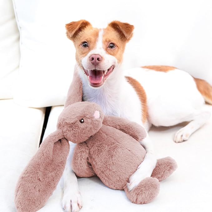 Best Pet Supplies Interactive Squeaky Dog Chew Toy, Ideal Dog Toys - Image 6