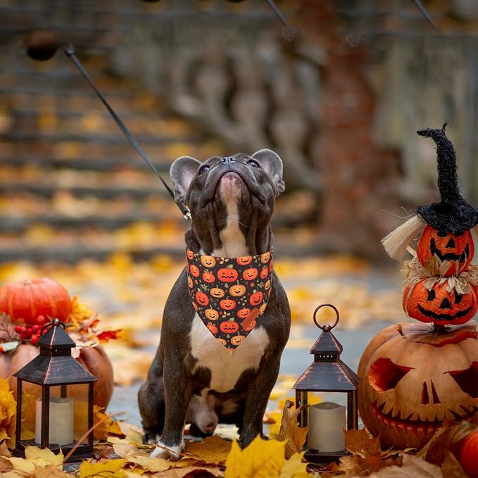 PTDECOR Halloween Dog Bandana, Skeleton Pumpkin Reversible Holiday Dog Scarf - Image 3