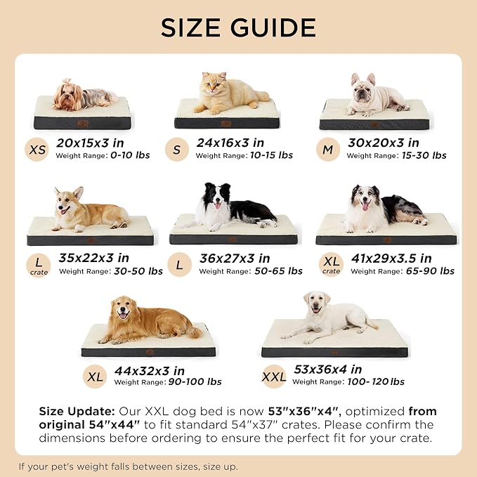 Bedsure Dog Bed Medium Size Dog - Image 7