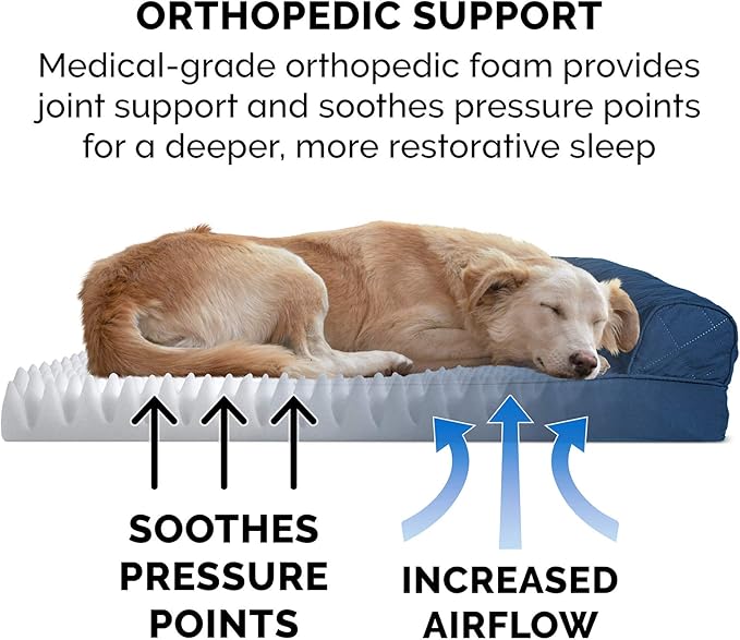 Furhaven Orthopedic Dog Bed for Medium/Small Dogs w/ Removable Bolsters & - Image 5