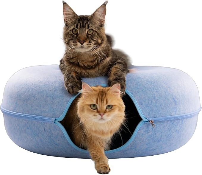 Cattasaurus Peekaboo Cat Cave Donut by Cattasaurus