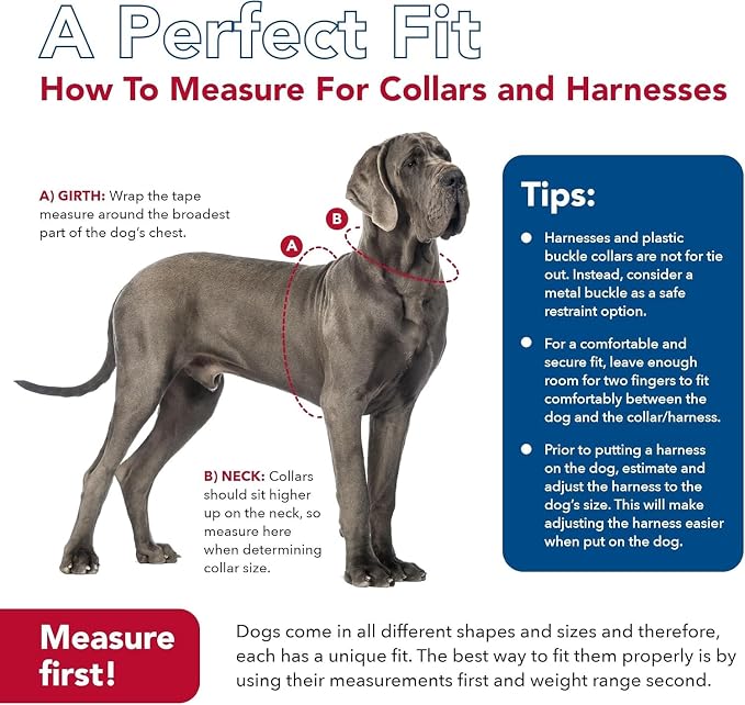 Coastal Pet K9 Explorer Reflective Adjustable Padded Dog Harness - Image 8