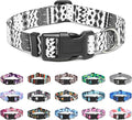 Mercano Adjustable Dog Collar by Unknown