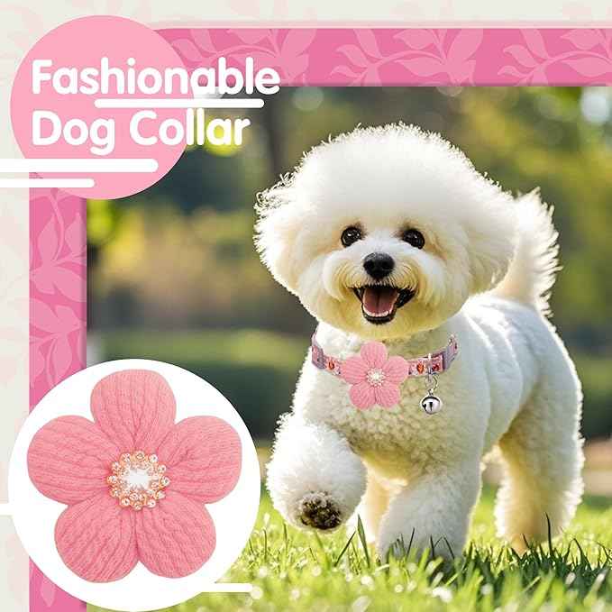 Medium Dog Collar with Flower, Dog Collars