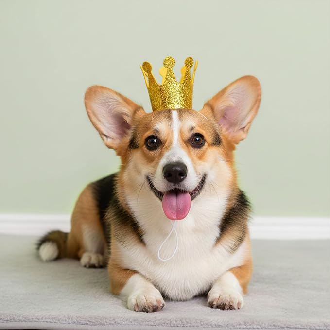 Gold Dog Birthday Crown, 3.54 Inch Height Glitter Pet Crown, Mini Party Hat - Image 4