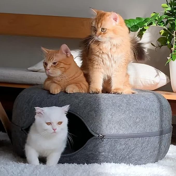 CATTASAURUS Peekaboo Cat Cave for Multiple & Large Cats Up to 30-45 Lbs - Image 9