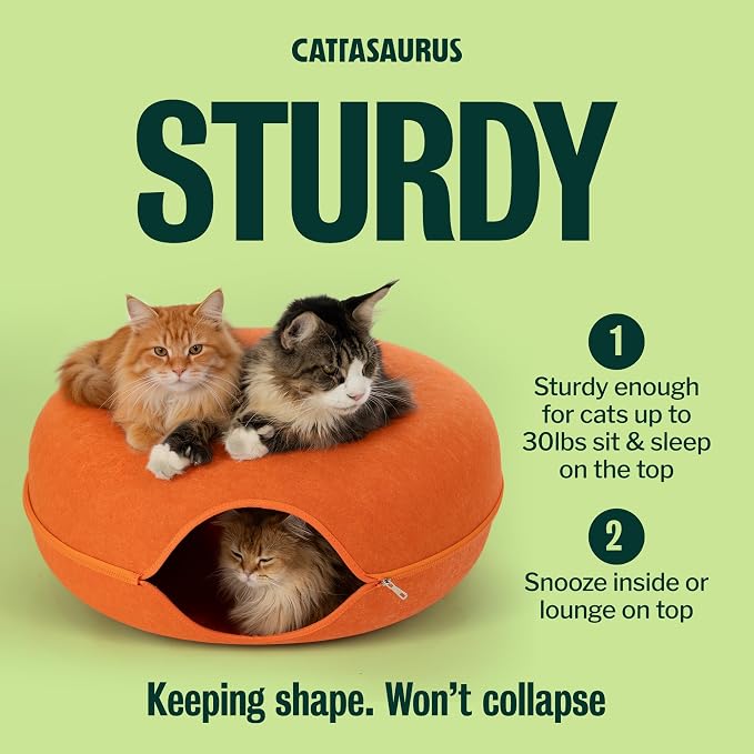 Cattasaurus Peekaboo Cat Cave, Extra Spacious - Image 3