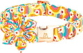 Lionheart glory Dog Collar by LionheartGlory