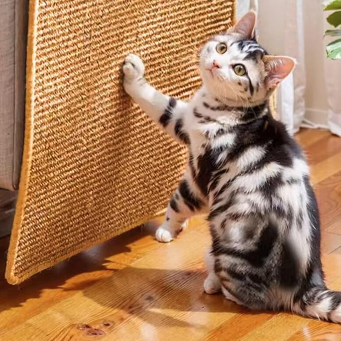 2Pack Cat Scratcher Mat, 23.6 X 15.7 Inch, sisal cat scratchers - Image 3