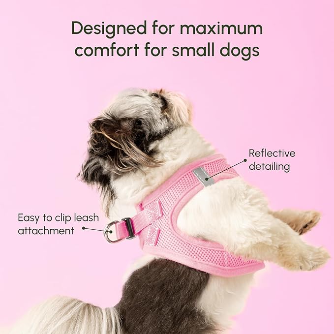 Downtown Pet Supply Step-in Dog Harness – No Pull, Adjustable Padded Mesh - Image 4