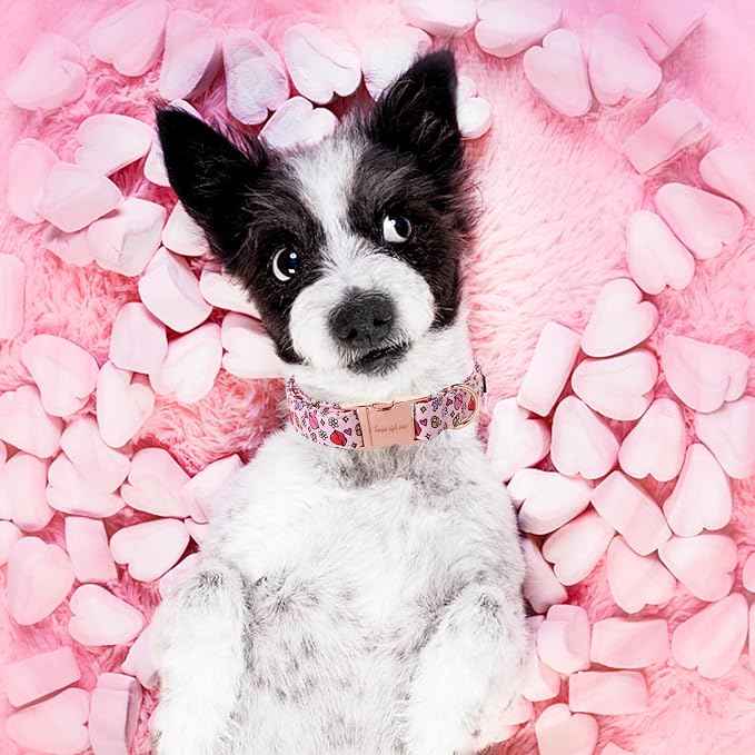 Unique style paws Valentine's Dog Collar Metal Buckle Puppy Collar XO Red Lips