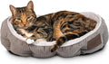 Pet Craft Supply Cat Bed for Indoor Cats by PetCraftSupplyCo