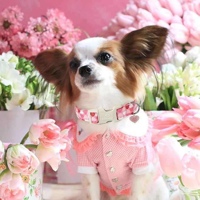 Valentines Dog Collar for Small Dogs