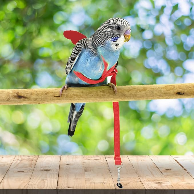 Dnoifne Pet Parrot Bird Harness and Leash, Adjustable Training Design Anti-Bite - Image 2
