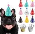 Dog Birthday Party Hat Set, Reusable & Adorable Kitty/Doggy Birthday by Unknown