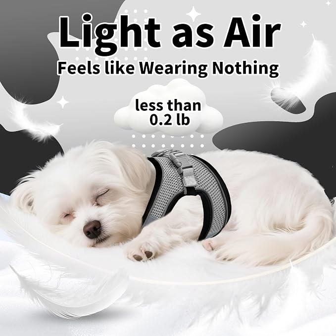 AIITLE Comfortable Dog Harness and Leash Set - Image 5