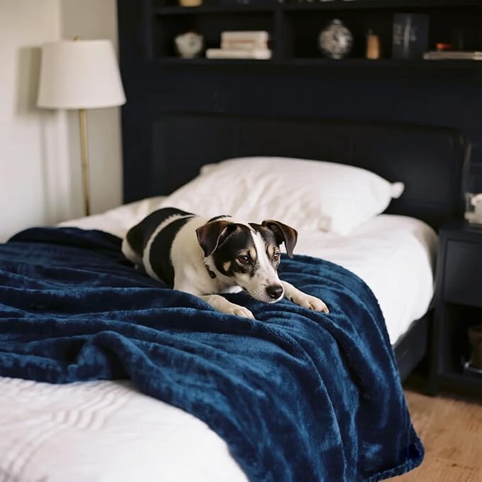 gogobunny Waterproof Bed Blanket, Reversible Sherpa Fleece Throw Blanket - Image 3