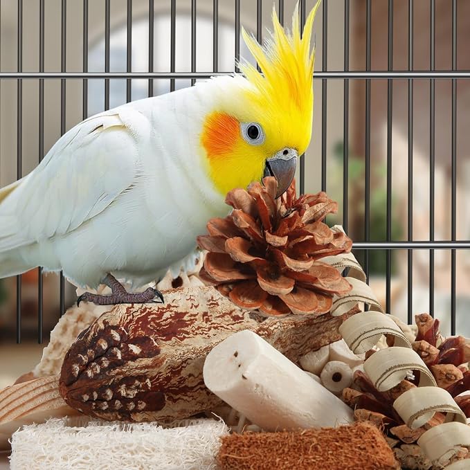 Kyouki Bird Toys Parrot Toys Natural Bird Foraging Box Foot - Image 4