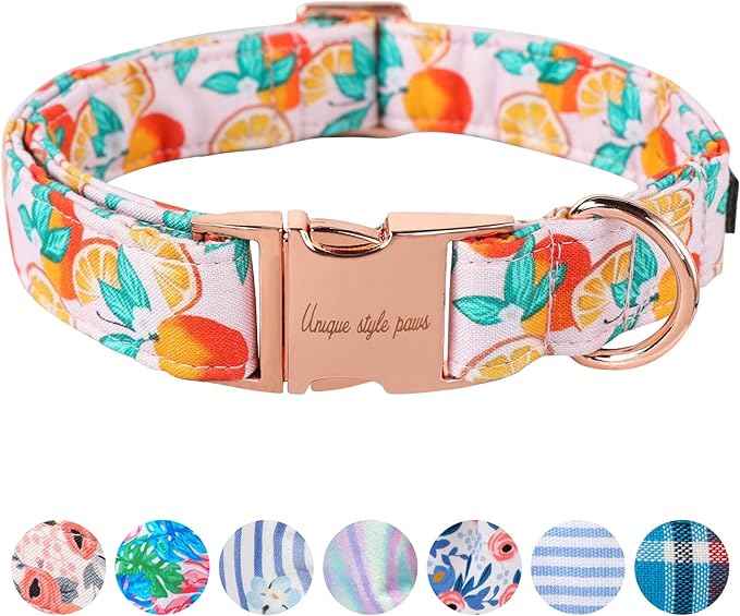 Unique style paws Dog Collar Metal Buckle Orange Collar Gift Durable Cute Collar