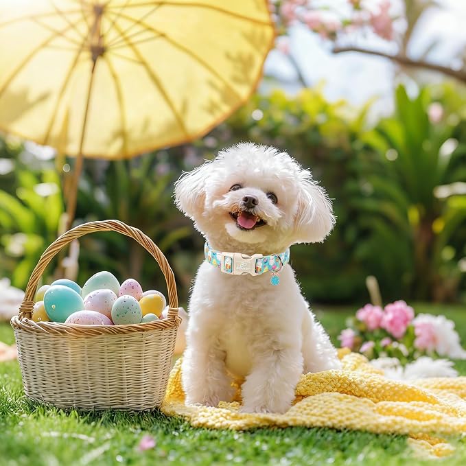 Easter Dog Collar for Large Dogs - Image 5