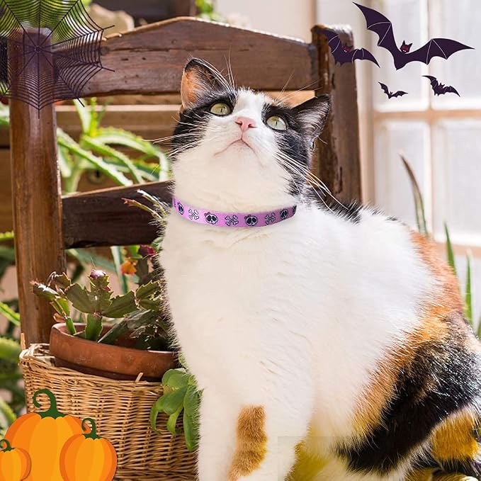 PUPTECK Breakaway Cat Collar - Image 8