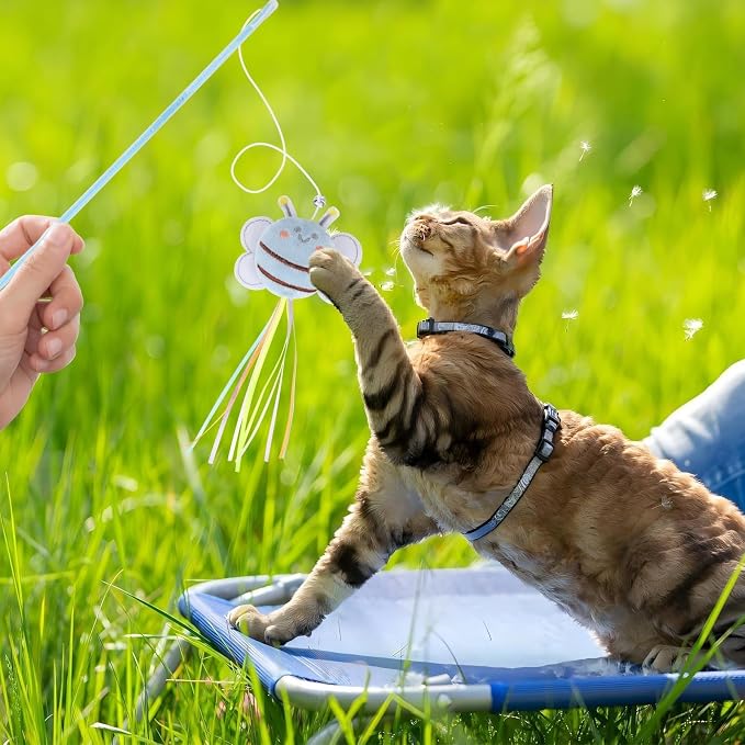 NOWFRESH Cat Wand Toy Set, Equipped - Image 5