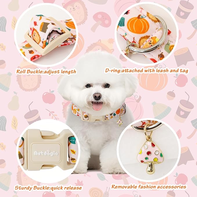 Fall Woodland Dog Collar, Playful Squirrel & Pumpkin Print on White Collar - Image 3