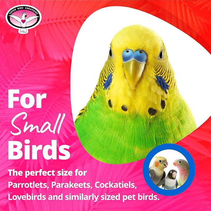 Super Bird Creations SB586 X-mas Star Bird Toy, Small Bird Size, 4.5" x 3" - Image 2