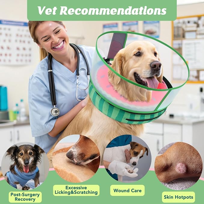 Inflatable Dog Cone with Anti-Licking Clear Shield, Protective Dog Donut Collar - Image 6