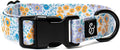 Lucy & Co. Among The Wildflowers Dog Collar by LucyCo