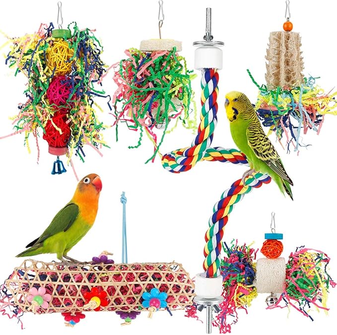 Foraging Bird Toys by lovyoCoCo