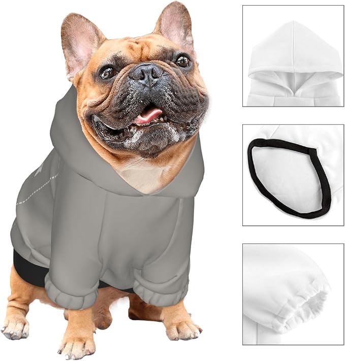 Personalized Chihuahua Dog Hoodie, Custom Pet Warm Sweatshirt Costume - Image 3