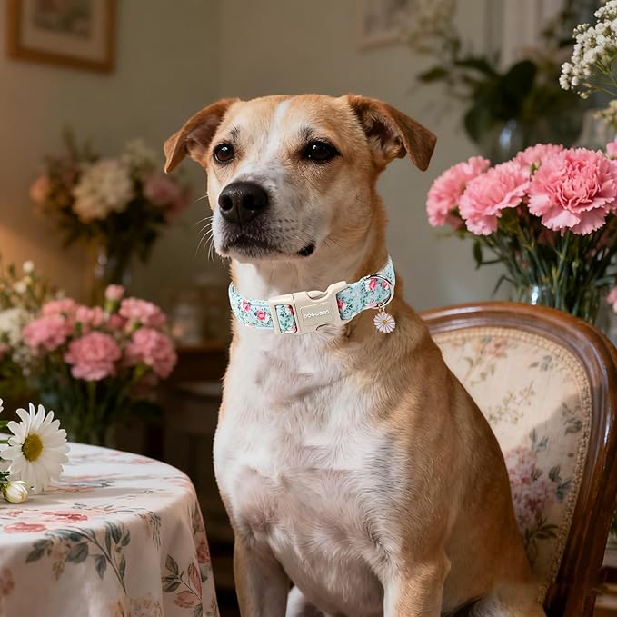 DOGWONG Floral Dog Collar, Cute Adjustable Flower Collar, Girl Female Dog Collar - Image 5