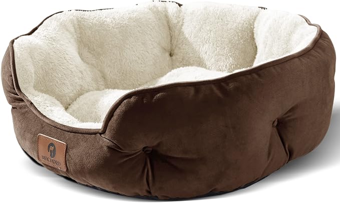 Asvin Small Dog Bed for Small Dogs, Cat Beds for Indoor Cats, Pet Bed for Puppy by Asvin