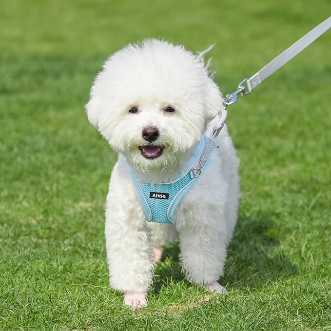 AIITLE Comfortable Dog Harness and Leash Set - Image 4