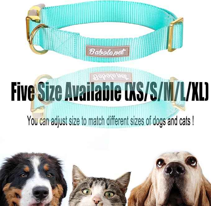 Nylon Dog Collar