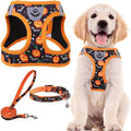 PUPTECK Adjustable Dog Harness Collar and Leash Set Step in No Pull Pet Harness by PUPTECK