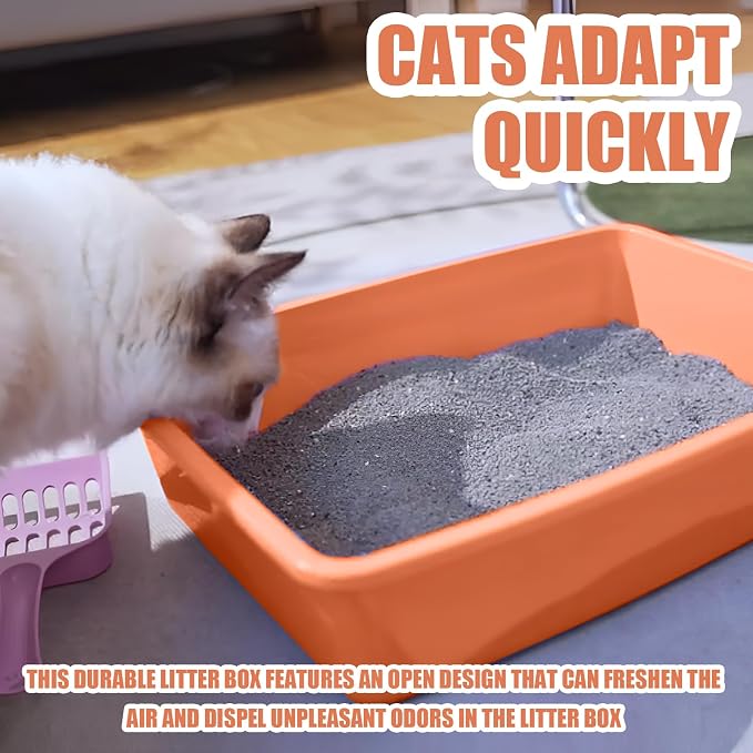 5PCS Small Litter Box, Plastic Kitten Litter Box, 13.9 x 9.8 x 3 Inch Open - Image 4