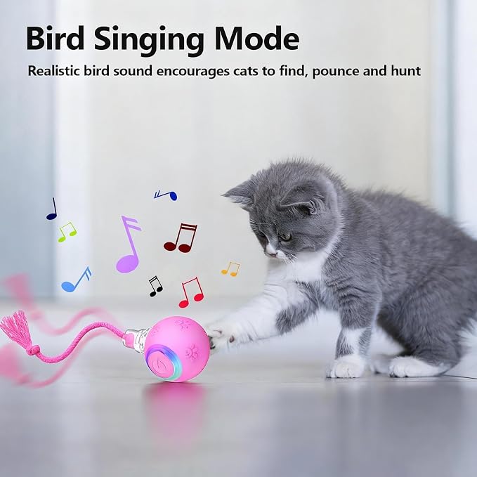 FUNNYDUCK Speed 2.0 Tail Interactive Cat Toy – Motion-Activated Rolling Ball - Image 4