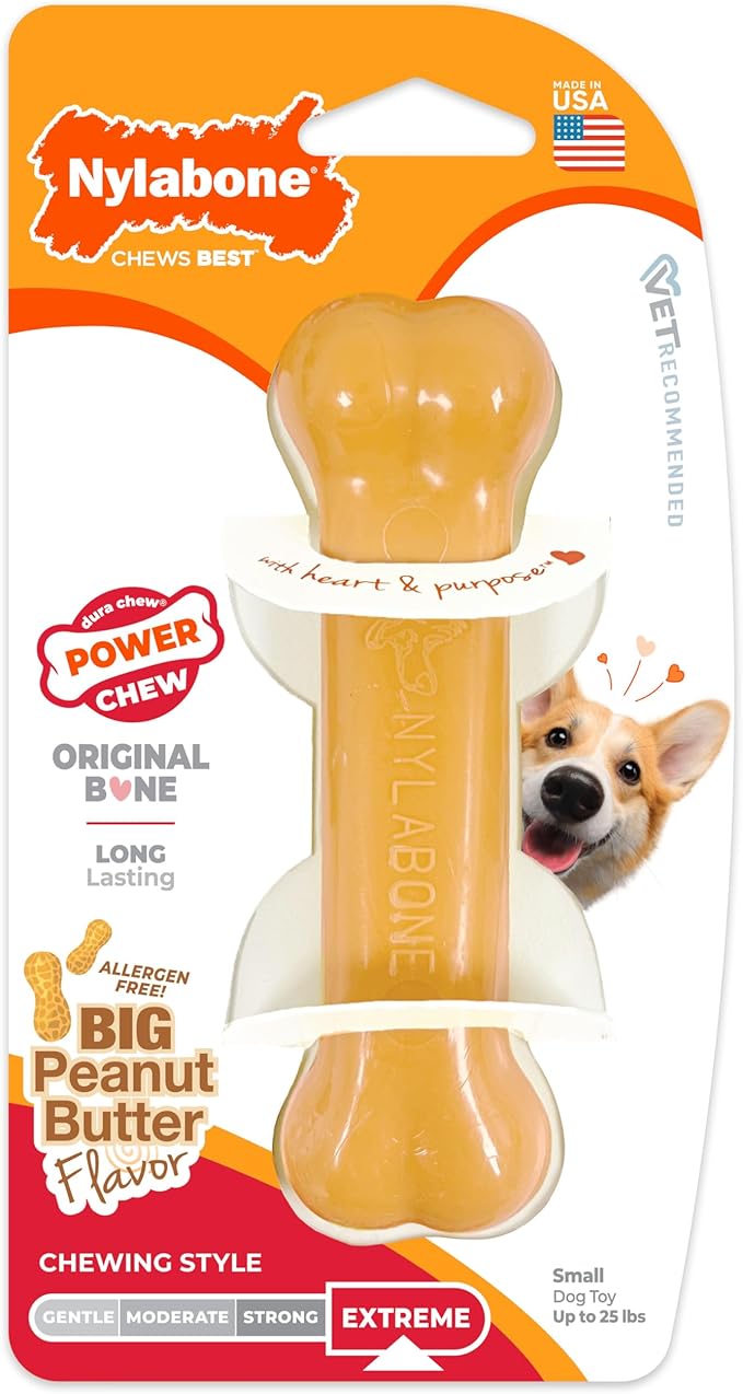 Nylabone Original Bone Power Chew Toy - Image 9