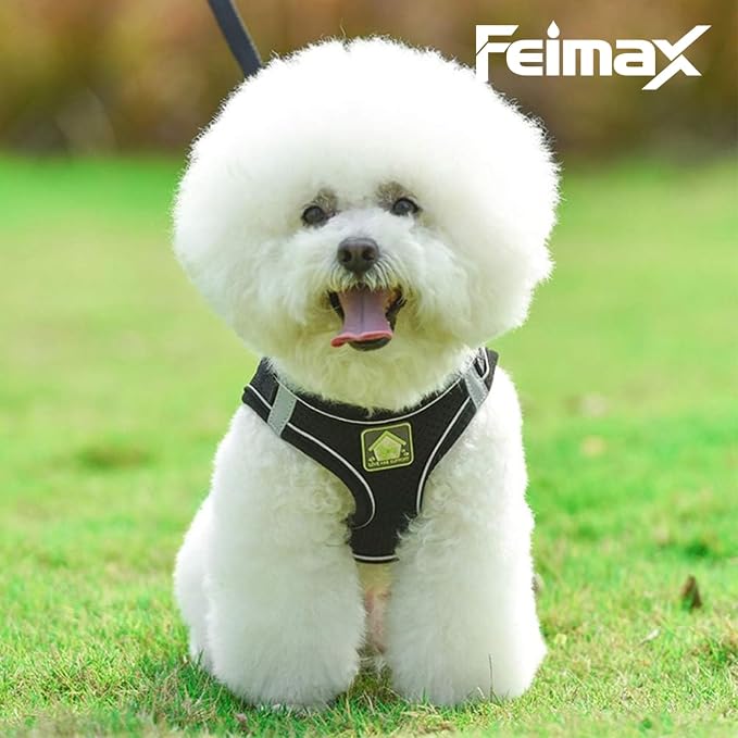 FEimaX Dog Harness and Leash Set, No Pull Breathable Soft Mesh Puppy Vest - Image 4