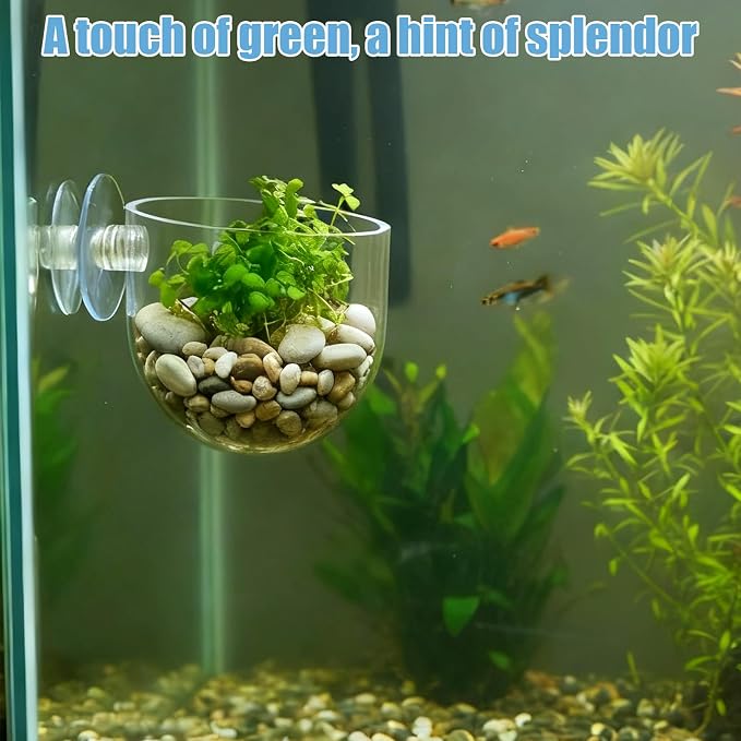 3 Pack Aquarium Plant Holder Clear Fish Tank Plant Holder Fishes Tanks Plants - Image 2