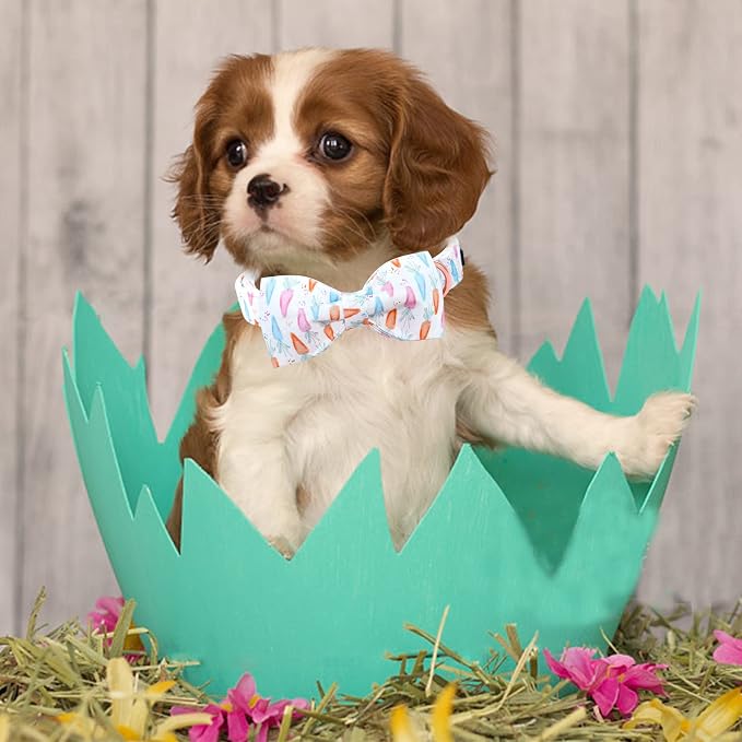 Lionheart glory Easter Dog Collar - Image 6