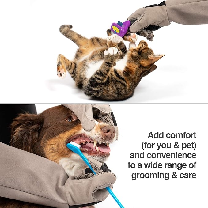 PetFusion Multipurpose Pet Glove - Image 6