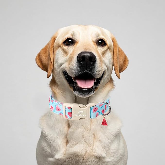 Adjustable Summer Dog Collar, Cute Watermelon Dog Collars - Image 2