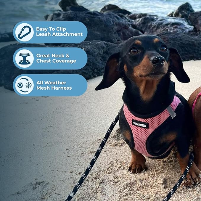 Best Pet Supplies - Image 6