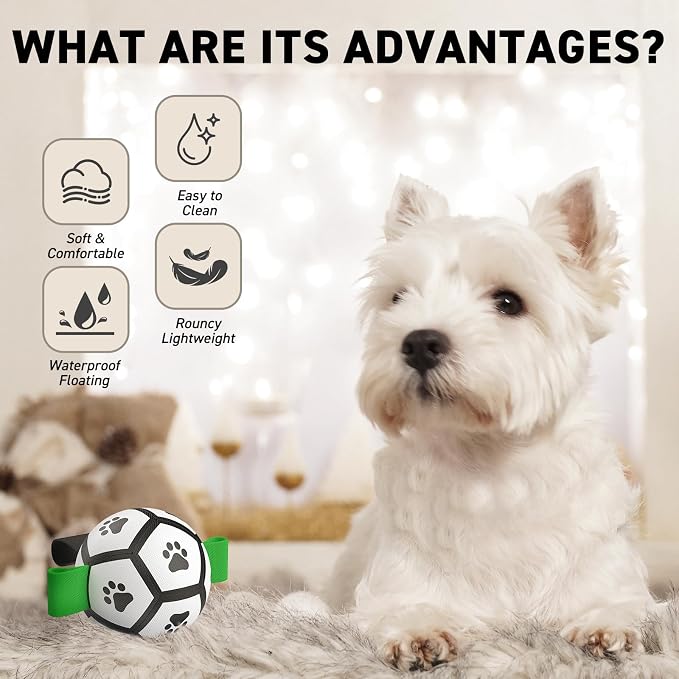 QDAN Small Dog Toys, Puppy Balls, Dog Balls - Image 6