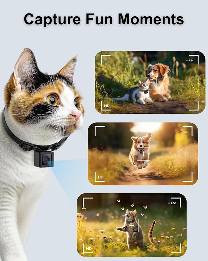 Dog Camera Collar 1080P HD Video Recording Pet POV Cam, NO WiFi NO APP - Image 3